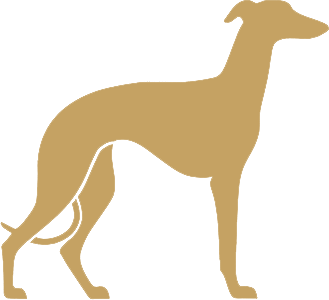 icono de elemento grafico perro